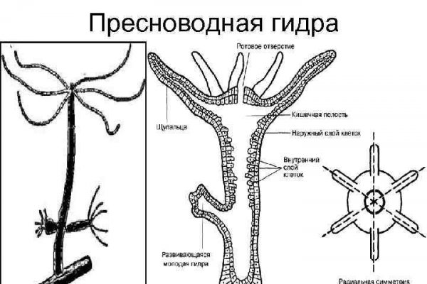 Регистрация на kraken