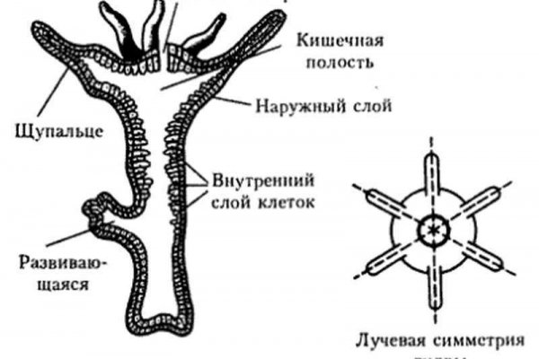 2krn что такое